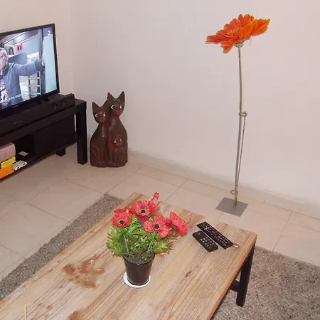 F2 Centre Historique Apartment *